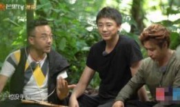 汪涵圈内爆料视频播放,揭秘娱乐圈不为人知的一面